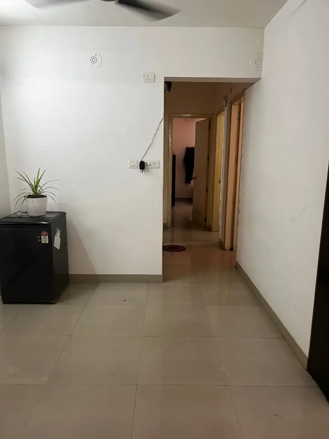 Hostel photo 5